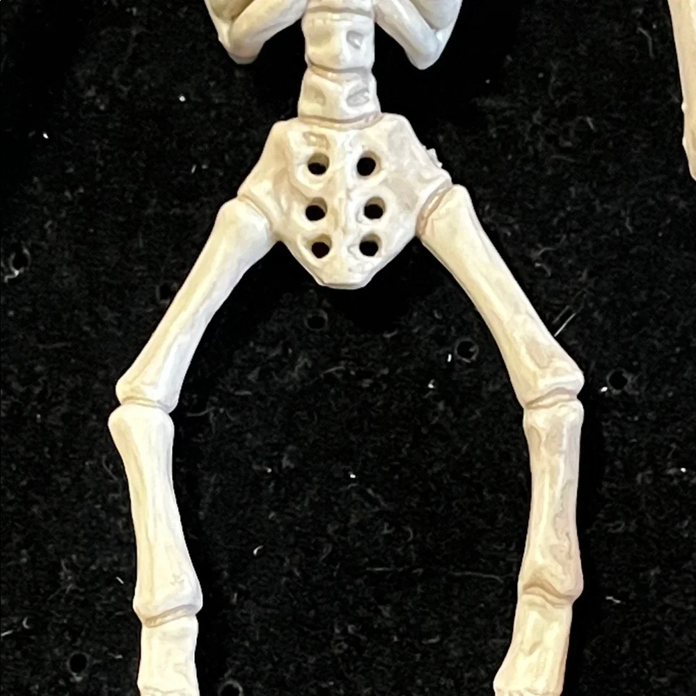 Natural Bat Skeleton Reptile Decor - Cream